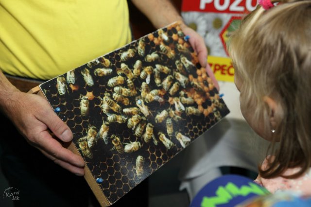 Výstava Včelařství u nás - Liberec, Krajský úřad